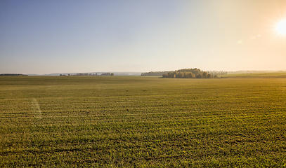 Image showing autumn landscape