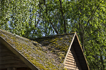 Image showing old wooden roof