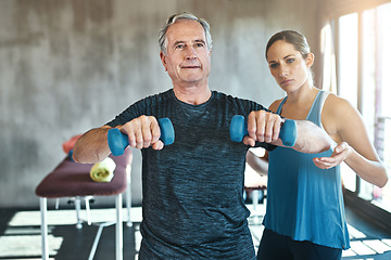 Image showing Helping, dumbbell and coaching with old man and personal trainer for support, health and physiotherapy. Training, weightlifting and exercise with senior patient and female trainer for elderly workout