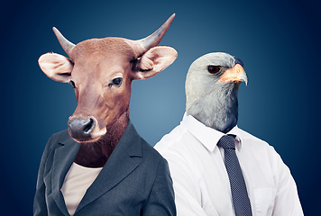 Image showing Bull head, stock markets and finance or eagle or animals pose or surrealism and on studio background. Abstract, power and capital growth or business attire or corporate cow and alpha falcon face