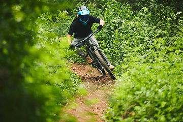 Image showing Mountain bike, man and cycling in forest for adventure, freedom and power of off road challenge on path. Athlete, sports and bicycle for action, competition and cardio racing for adrenaline in nature