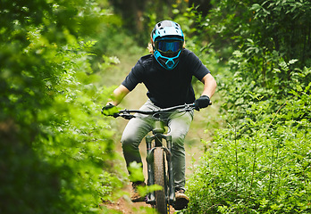 Image showing Mountain bike, man and cycling in forest for competition, freedom and off road adventure on path. Athlete, extreme sports and bicycle for action, cardio race and adrenaline in nature, park and trail