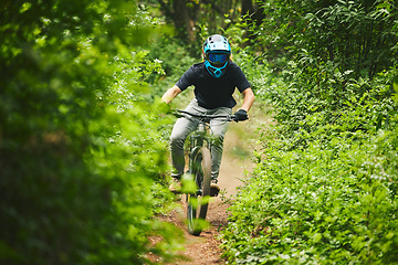 Image showing Man, mountain bike and extreme sports in forest for adventure, speed and power in park. Athlete, freedom and bicycle race for outdoor action, off road fitness and gear of cardio competition in nature