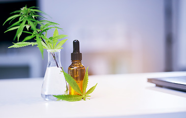 Image showing Marijuana leaves, CBD oil and lab table for medical research, pharma study and development for healthcare. Hemp plant, medicine bottle and pharmaceutical innovation on desk in laboratory for wellness