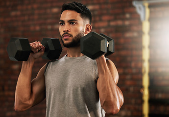 Image showing Weightlifting, fitness and man with dumbbell in gym for exercise, bodybuilder training and workout. Sports, strong muscles and serious male person lifting weight for wellness, healthy body and cardio