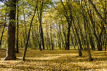 Image showing landscape of beautiful real nature