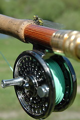 Image showing Dragonfly on the rod