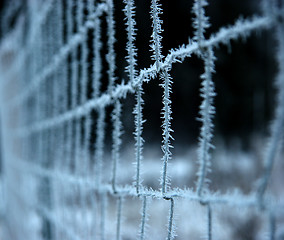 Image showing Frozen fence