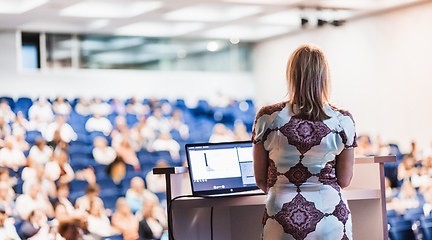 Image showing Public speaker giving talk at Business Event.