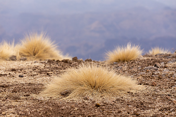 Image showing Semien or Simien Mountains, Ethiopia, Africa