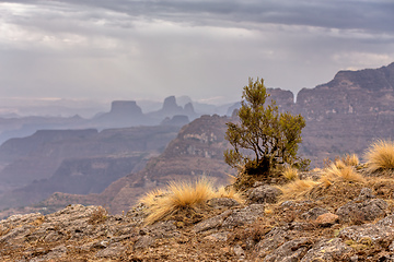 Image showing Semien or Simien Mountains, Ethiopia, Africa