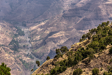 Image showing Semien or Simien Mountains, Ethiopia, Africa