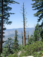 Image showing Yosemite National Park