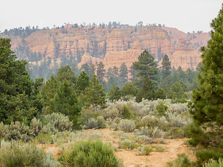 Image showing Bryce Canyon National Park