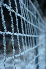 Image showing Frozen fence