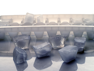 Image showing Ice Cube Tray