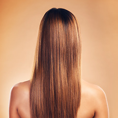 Image showing Woman, hair and beauty with hairstyle and back view, haircare and keratin treatment isolated on studio background. Female model with highlights, color and cosmetic care, texture and growth with shine