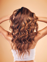 Image showing Woman, hair and beauty with balayage, back view of curly hairstyle with haircare and keratin treatment on studio background. Female model with color highlights, cosmetic shine and texture with growth