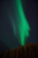 Image showing vertical aurora column