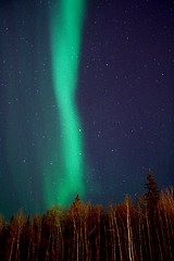 Image showing vertical aurora column