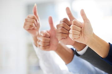 Image showing Closeup, business and group with thumbs up, support and agreement with approval, collaboration and opportunity. Zoom, staff or team with hand gesture, symbol or solidarity with success or achievement