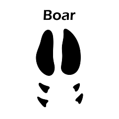 Image showing Boar Footprint