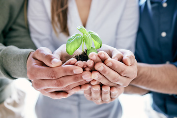 Image showing Hands, growth and plant with a business team holding a pile of soil for agriculture, sustainability or development. Earth day, spring and nurture with a group of people carrying dirt in the office