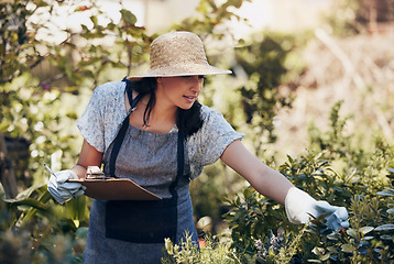 Image showing Florist woman, inspection and checklist in nursery, data and plant growth in sunshine at sustainable small business. Girl, entrepreneur and check for plants, leaves or nature with clipboard in spring