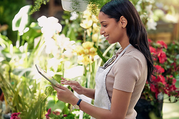 Image showing Woman, tablet and plants in nursery, check and quality inspection for growth, development and health. Young business owner, entrepreneur and inventory for flowers, sustainability and gardening store