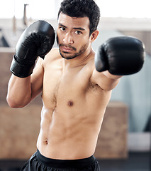 Image showing Boxer, portrait and serious man in gym for punch, exercise and training for fight. Face, boxing and male athlete, fighter or sports person workout, fitness and practice for martial arts challenge.