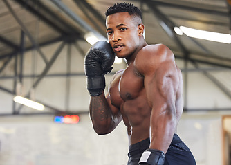 Image showing African man, boxing and punching in portrait for fitness, focus or training at gym for growth, goal and competition. African guy, boxer and gloves for exercise, wellness and martial arts for sports