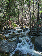 Image showing Yosemite National Park