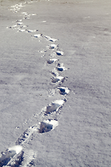 Image showing footprints snow