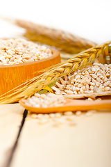 Image showing organic wheat grains