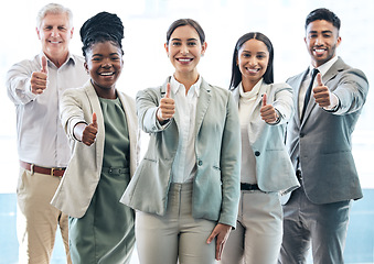 Image showing Business people, portrait and thumbs up for winning, success or goals in teamwork at the office. Woman employee and happy group with thumb emoji, yes sign or like for team approval at the workplace