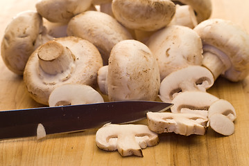 Image showing Button Mushrooms