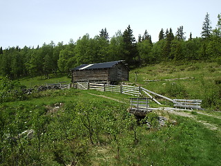 Image showing Cowshed