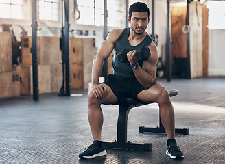 Image showing Fitness, dumbbell and man doing an arm workout in the gym for strength, wellness and biceps. Sports, challenge and male athlete lifting with a weight for muscle training on bench in the sport center.