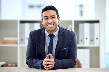 Image showing Portrait, office and happy business man, consultant or advisor in client POV for discussion, financial leader and help. Face of young accountant, corporate employee or asian person at his desk