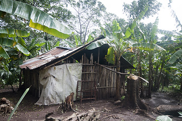 Image showing typical house corn island nicaragua