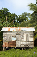 Image showing typical house corn island nicaragua