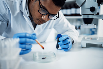 Image showing Science, blood test and male scientist in a laboratory doing research with dna sample tubes. Rna, medical innovation and professional man researcher working on a data project in a pharmaceutical lab.