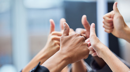 Image showing Thumbs up, diversity and closeup of hands of business people in the office for celebration. Success, achievement and zoom of group of professional employees with an approval hand gesture in workplace