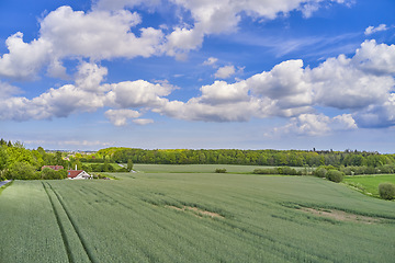 Image showing Nature, field and environment with drone of countryside for agriculture, farming and summer. Grass, travel and landscape with aerial view of meadow and blue sky for growth, plants and ecology