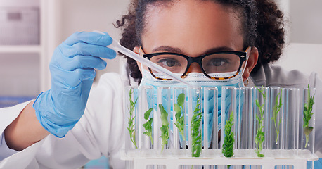 Image showing Science, biotechnology and plant with woman in laboratory for medical, pharmacy or research. Chemical, botany and healthcare study with scientist and test tube for sustainability, ecology or medicine