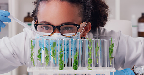 Image showing Science, focus and plant with woman in laboratory for medical, pharmacy and research. Biotechnology, growth and healthcare study with scientist and test tube for sustainability, vaccine and ecology