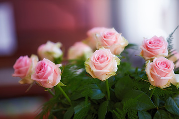 Image showing Closeup of bouquet of pink roses, nature and leaves with flowers, gift and celebration with romance or friendship. Plant, botanical and love with symbol of affection, natural and floral with blossom