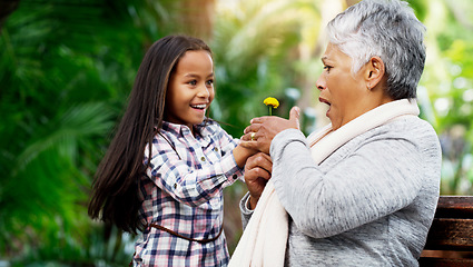Image showing Young girl, grandmother and a surprise flower for senior woman or excited child or family bond with pensioner and giving summer daisy in the park. Happy kid, plant and shock with elderly on the bench