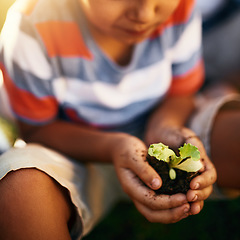 Image showing Hands of child, soil or plant in garden for sustainability, agriculture care or farming development. Backyard, natural growth or closeup of blurry kid hand holding sand or planting for learning agro