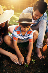 Image showing Father, mom or child learning to plant in garden for sustainability, agriculture or farming as a family. Dad, mother or parents gardening, planting or teaching a young kid agro growth in environment